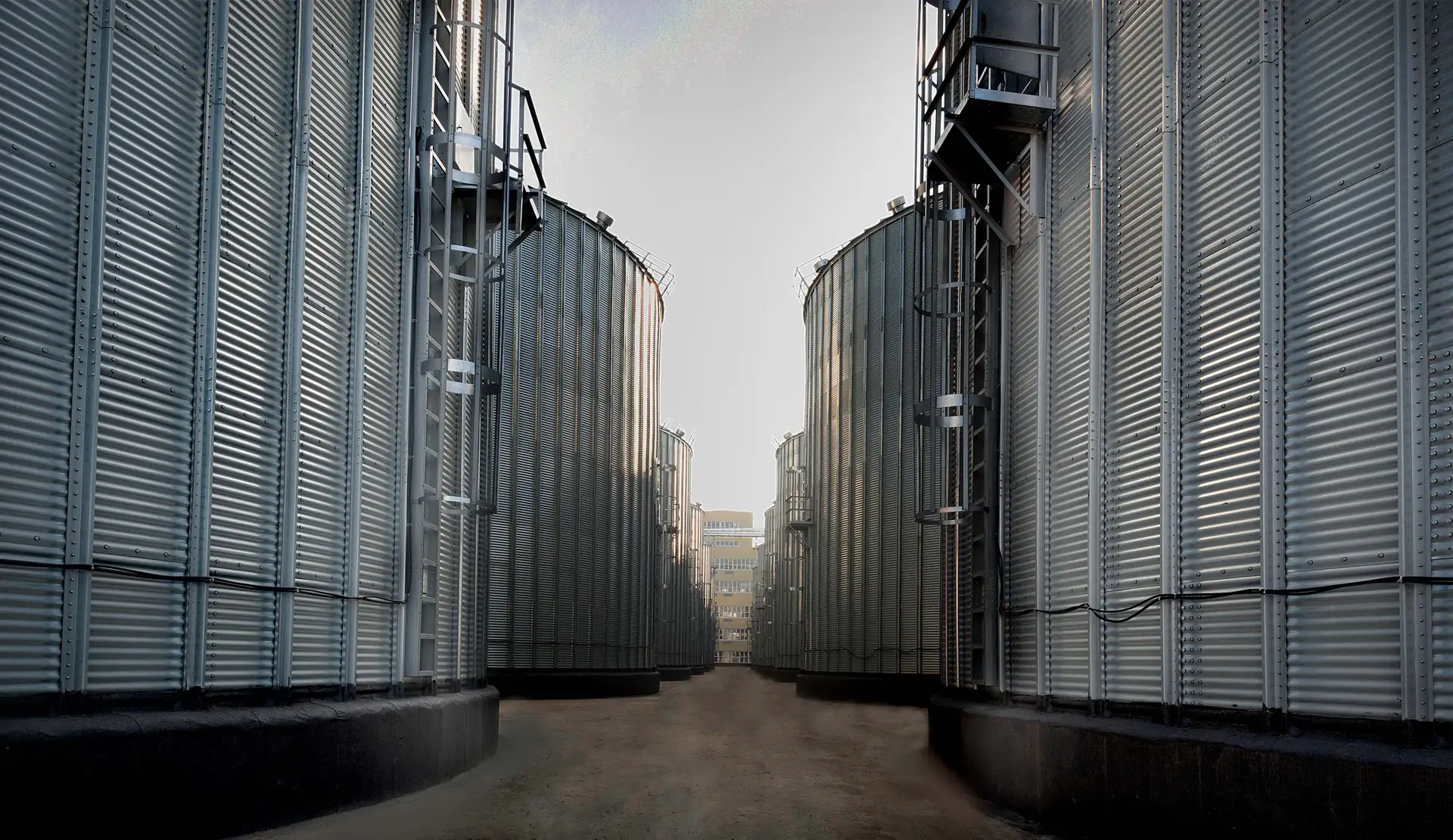 Daawat Rice sambhalkar processing